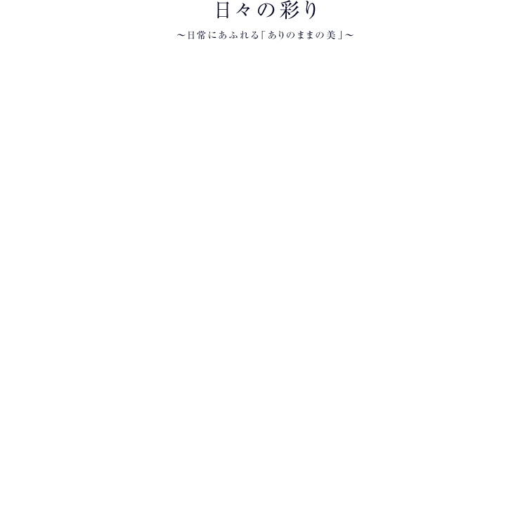 日々の彩り 〜日常にあふれる「ありのままの美」〜