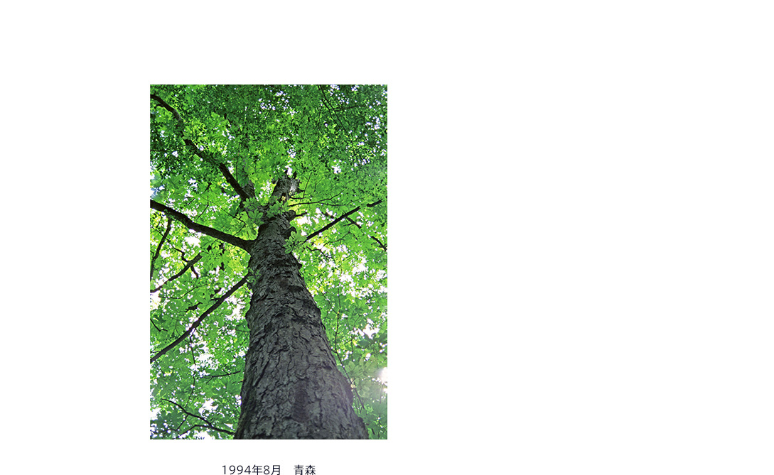 1994年8月 青森