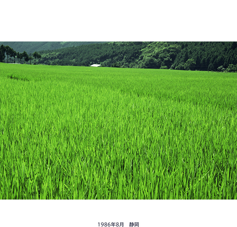 1986年8月 静岡