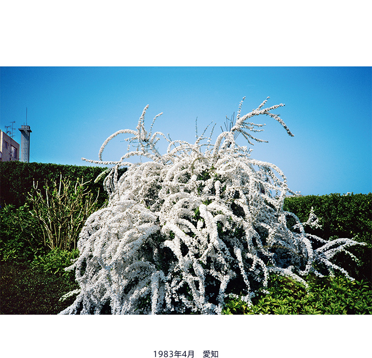 1983年4月 愛知