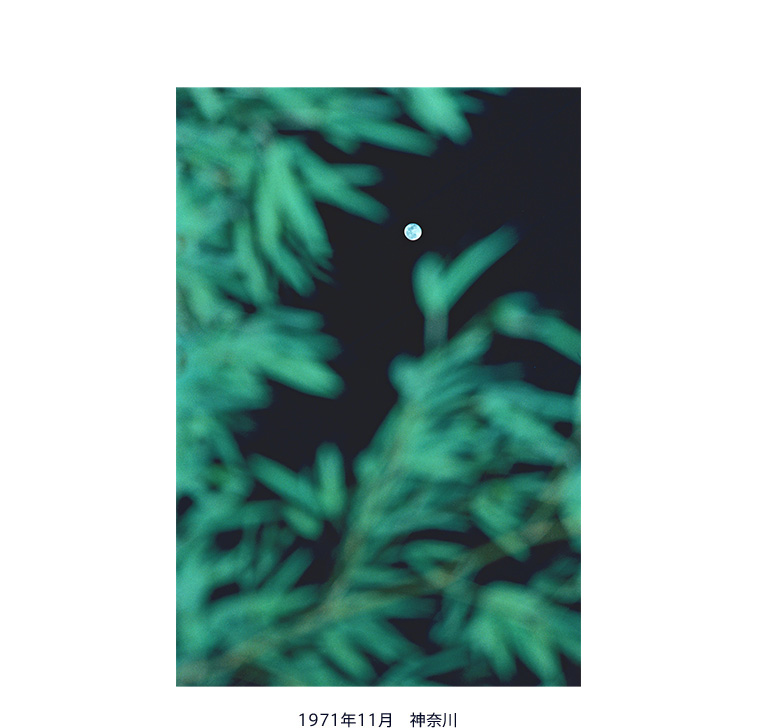 1971年11月 神奈川